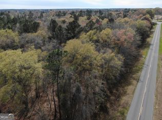 0 Neely Rd, Lumber City, GA 31549