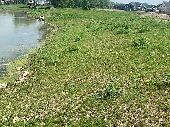 View from pond
