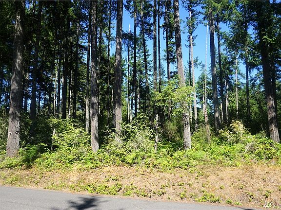 There's no trails, bring your boots. Best to use your GPS on your phone from where my sign is to get a good satellite picture while you're there.