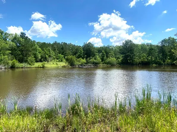 678 Doe Run Dr, Newton, AL 36352