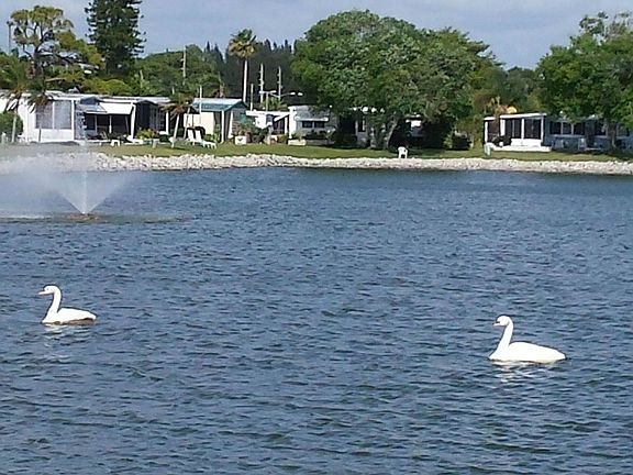 20160422_165849_resized_1