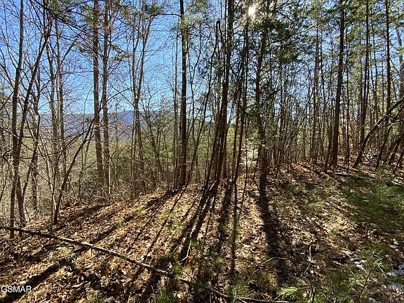 5th image of 7 Hatcher Mountain Rd Lot 7-R