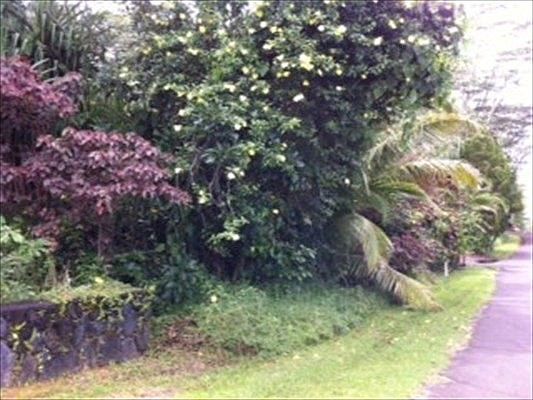 1st image of Kumu St Lot 648