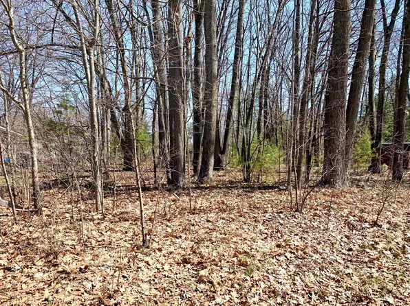 Lots 55 56 E Houghton Lake Dr, Houghton Lake, MI 48629