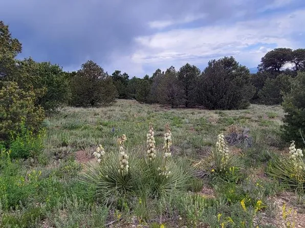 109 Comanche Dr, Walsenburg, CO 81089