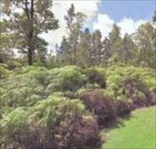 Kualima Pl, Hilo, HI, 96720