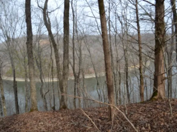 0 Garrett Town Ln, Monroe, TN 38573