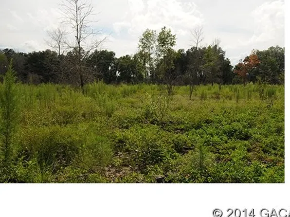 2091 NE 164th Ave, Gainesville, FL 32609