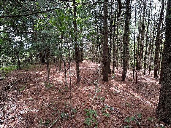 5th image of 5131 State Route 21 Lot 69