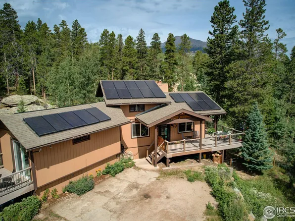 603 S Skinner Rd, Allenspark, CO 80510