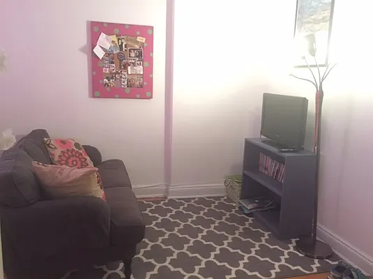 Rented by Pink Stone Realty LLC | media 10