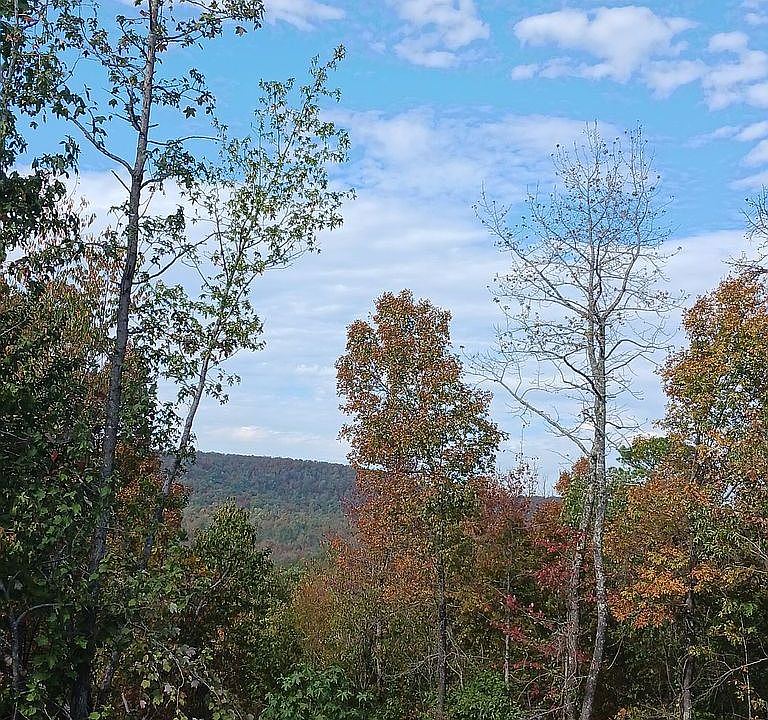 View from front porch