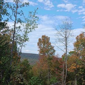 278 Whippoorwill Rd, Malvern, AR, 72104