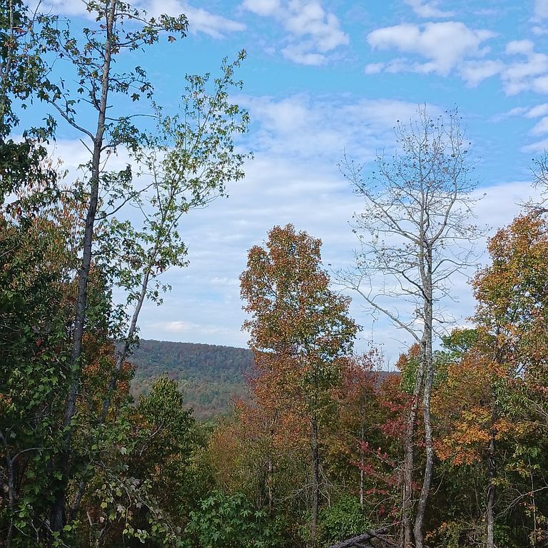 278 Whippoorwill Rd - Property Image