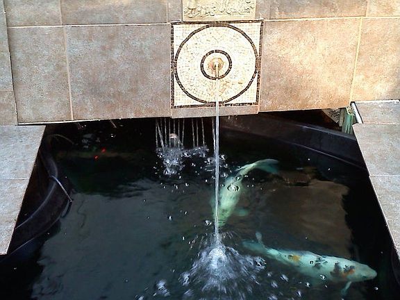 pond 200 gallons