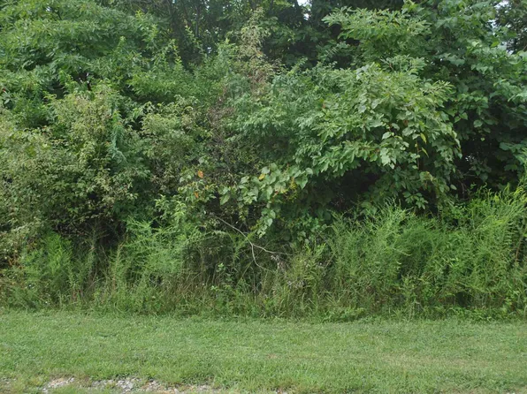 0 Meadowlark Ln, Williamstown, KY 41097