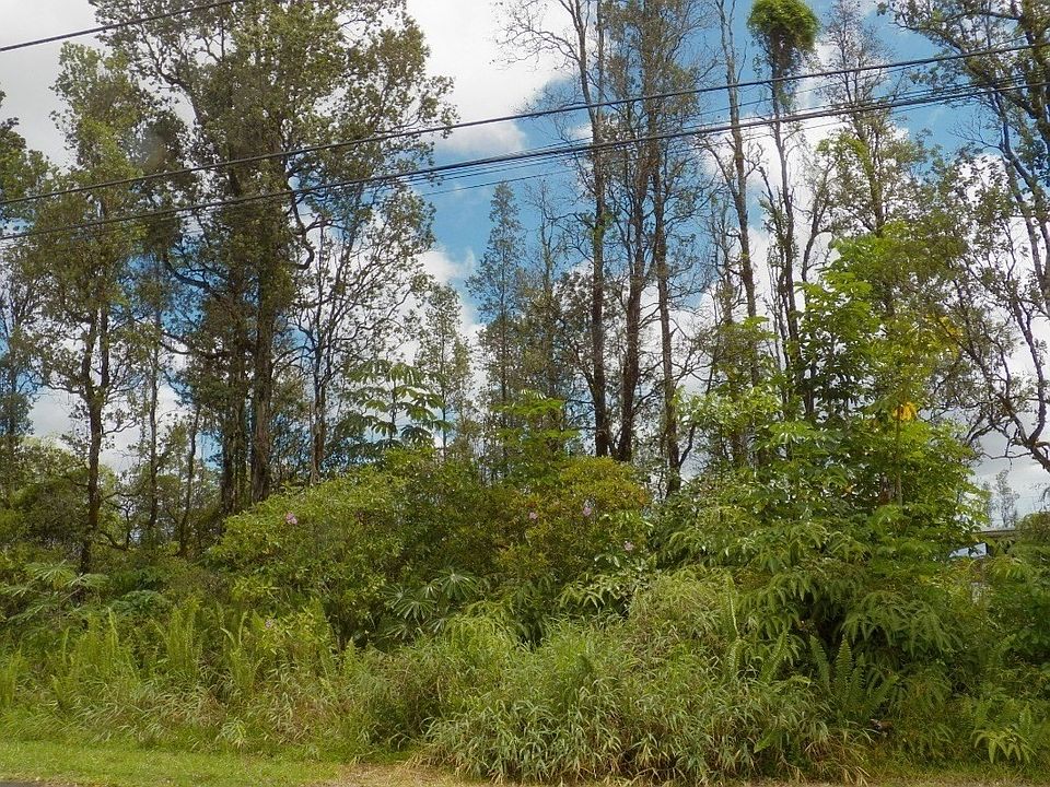 2nd image of Bamboo Dr Lot 8