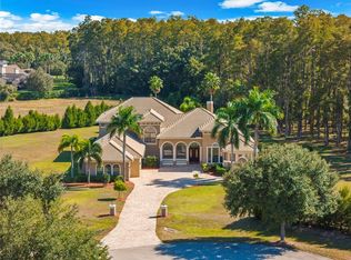 17336 Ballmont Park Dr, Odessa, FL 33556