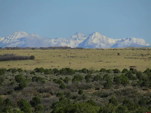 Lot 17B Road 17.5 Ryman Canyon East, Pleasant View, CO 81331
