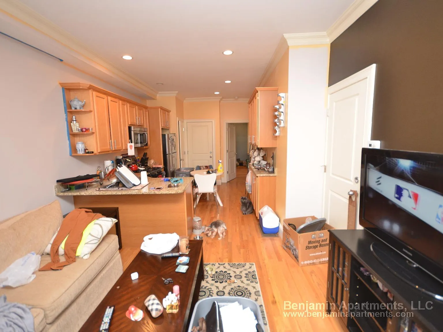 2 bed, 1000 sqft, $2,650 — Photo 4
