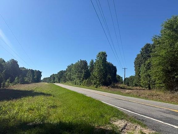 3rd image of 491 Crow Ln. #Crow Burk Road (60 acres)