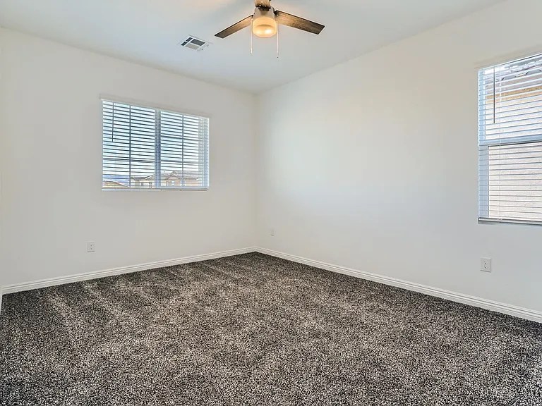 4208 Bayley Skye Ave — Photo 21