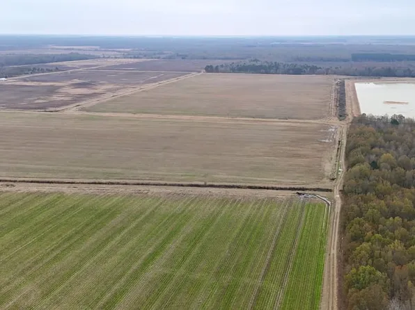 254 Fletcher Ellis Rd, Griffithville, AR 72060
