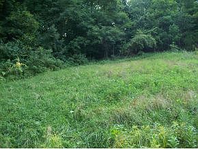 3rd image of 152 Nell Carter Dr