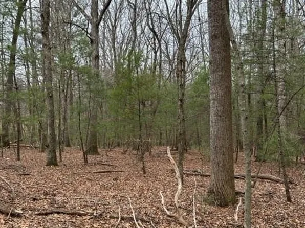 420 Sylvan Rd, Thurmond, NC 28683