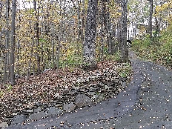 Nestled in The Woods