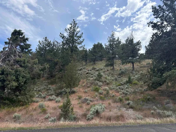 Unit 3 Lakeshore Lot 6, Weed, CA 96094