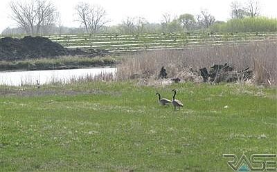 2nd image of 106 Round Lake Hills Dr