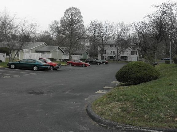 4th image of 2490 Forest Shadows Dr