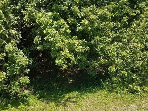 3rd image of 28280 S Twin Lakes Dr
