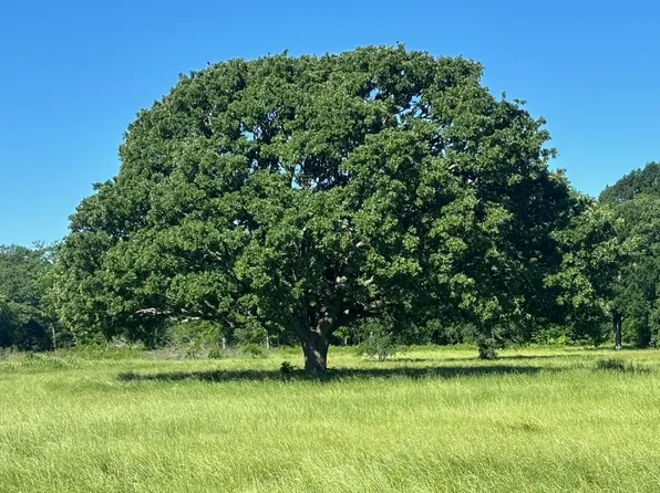 County Road 4410, Commerce, TX 75428