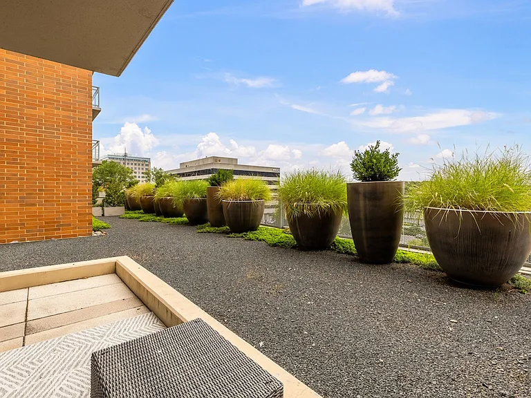 Terrace View
