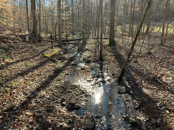 0 Weatherford Creek Rd, Lutts, TN 38471