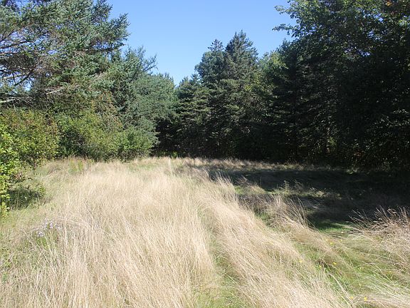 2nd image of 193 Golding Road