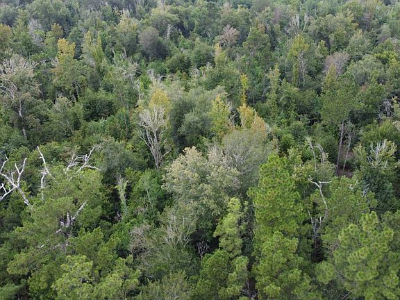 3rd image of Tbd Holbrook Park Rd