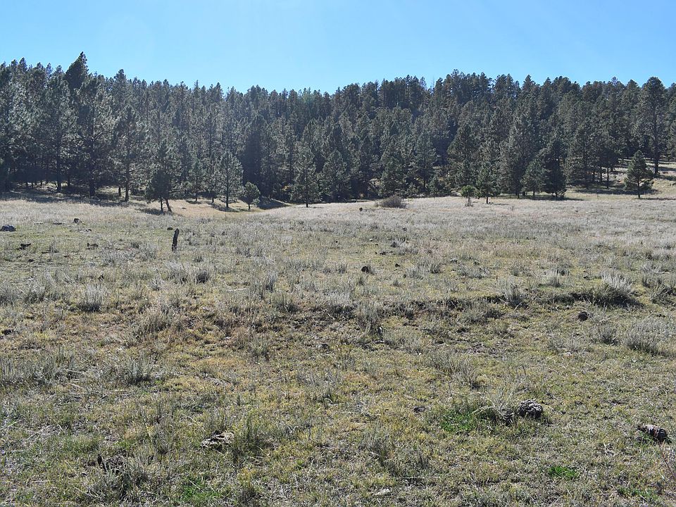 On County Rd 4, Mora, NM 87732 Zillow