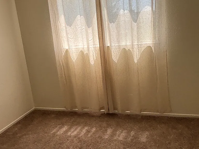 6005 Koa Dr — Photo 9
