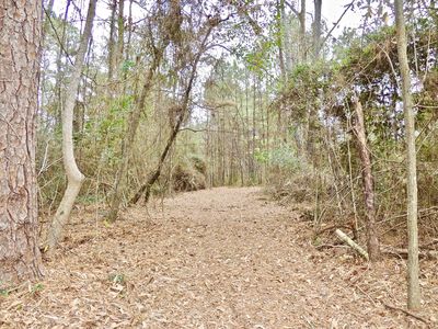 00 Rocky Branch Rd., Sumrall, MS, 39482