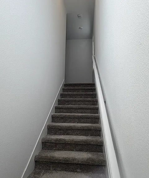 3217 Shrute Dr — Photo 59