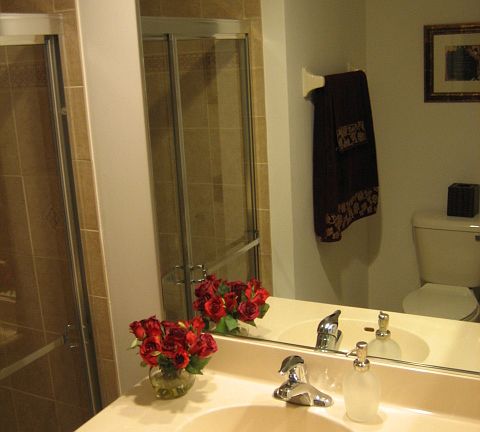 Downstairs Full Bath