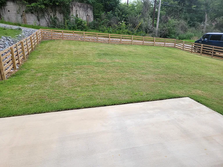 The spacious backyard