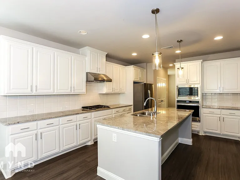 3113 Damsel Sauvage Ln — Photo 13