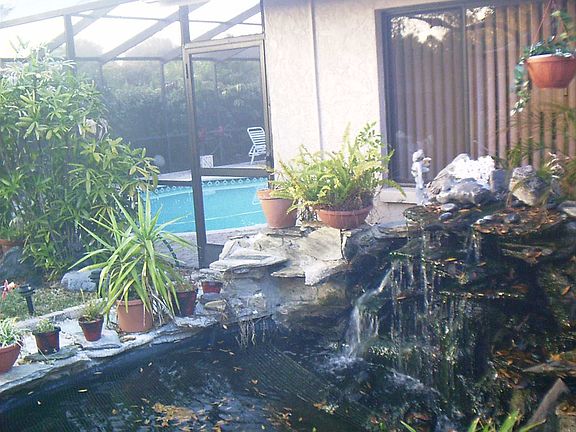 Koi pond/waterfall