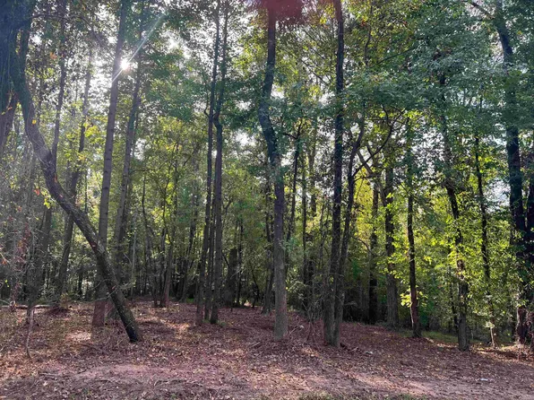 10 Kent Rock Rd, Loganville, GA 30052