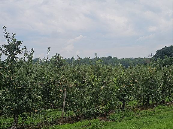 3rd image of 3100 Densmore Rd Lot 2