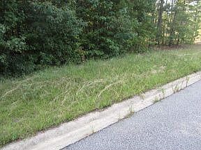 1st image of 30 Covey Trl